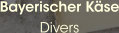 Bayerischer Käse Divers